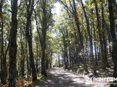 Castañar de la Sierra de San Vicente - Convento del Piélago;salidas por madrid;rutas madrid a pie